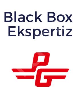 Black Box Ekspertiz